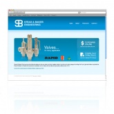 Website Design and Management