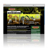 Website Design