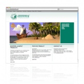 Website / Content Managment System
